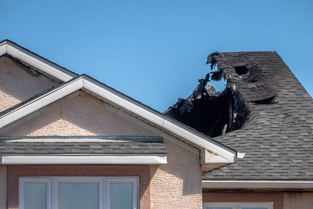 Top rated local Fire Damage Removal specialists in Bethel, MN